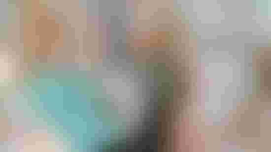 31-03-2025-setkani-NLZP-22.jpeg